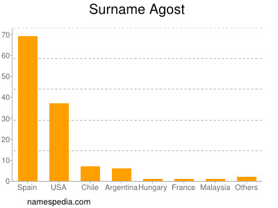 Surname Agost