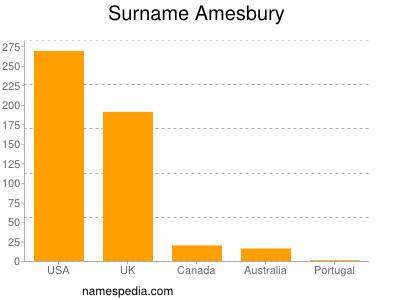 Surname Amesbury