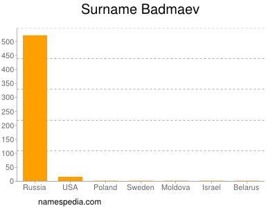 Surname Badmaev