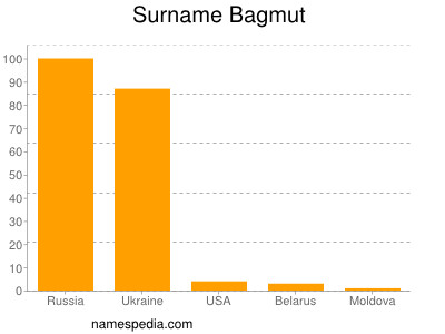 Surname Bagmut