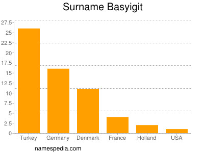 Surname Basyigit