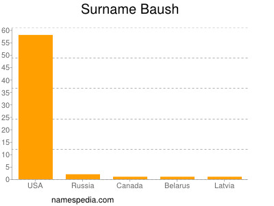 Surname Baush