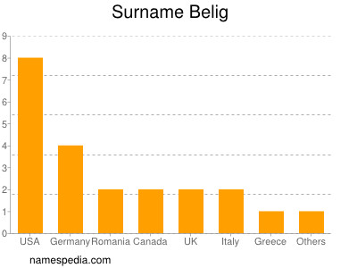Surname Belig
