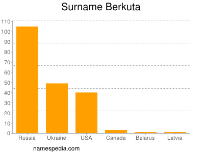 Surname Berkuta