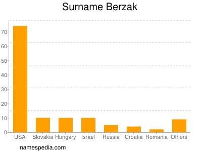 Surname Berzak