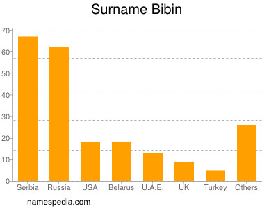 Surname Bibin