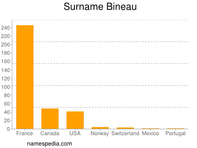 Surname Bineau