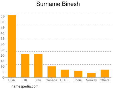 Surname Binesh