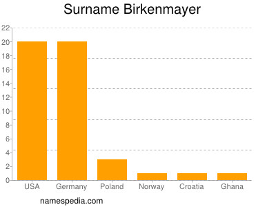 Surname Birkenmayer