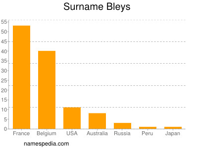 Surname Bleys