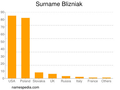 Surname Blizniak