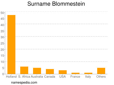 Surname Blommestein