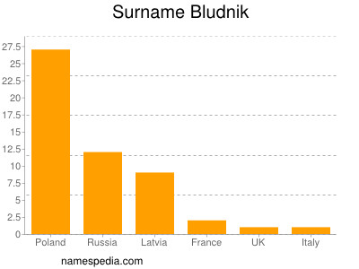 Surname Bludnik