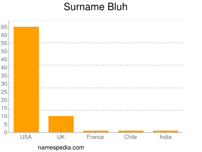 Surname Bluh