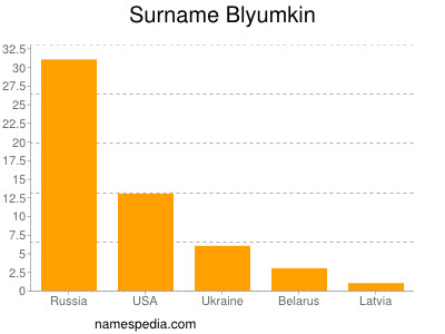 Surname Blyumkin