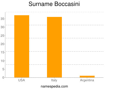 Surname Boccasini