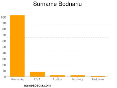 Surname Bodnariu