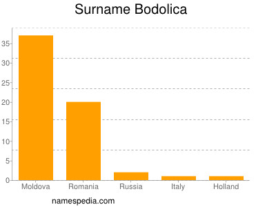 Surname Bodolica