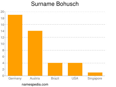 Surname Bohusch