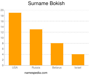 Surname Bokish
