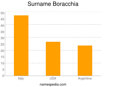 Surname Boracchia