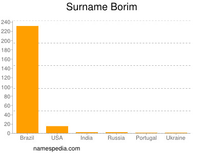 Surname Borim