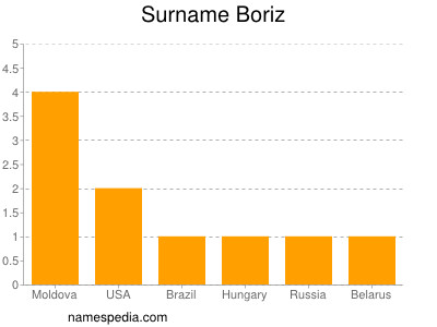 Surname Boriz
