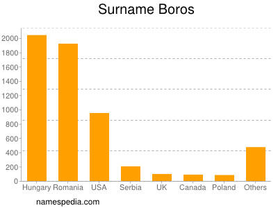 Surname Boros