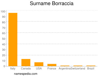 Surname Borraccia