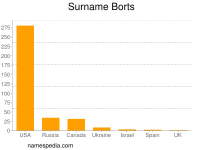 Surname Borts
