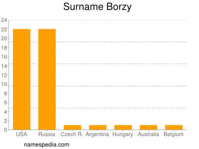 Surname Borzy