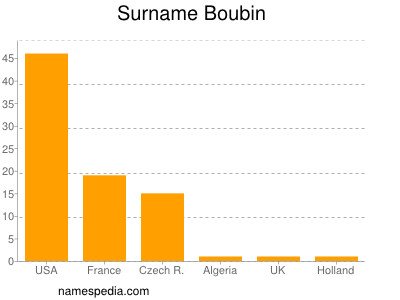 Surname Boubin