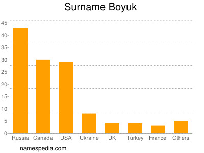 Surname Boyuk