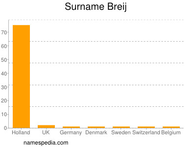 Surname Breij