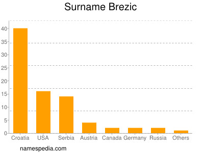Surname Brezic