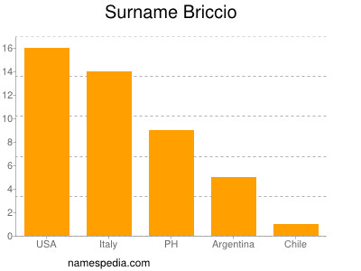 Surname Briccio