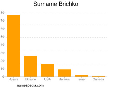 Surname Brichko