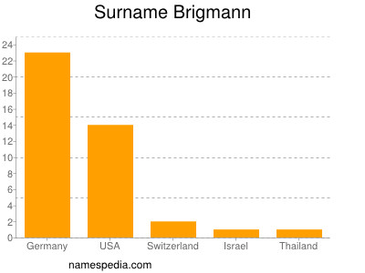 Surname Brigmann