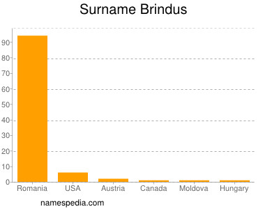 Surname Brindus