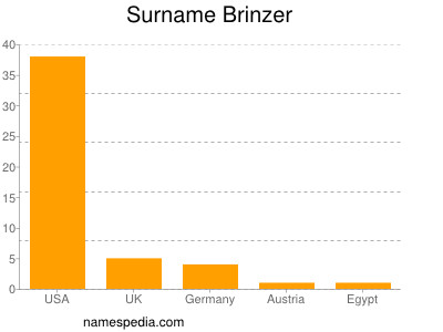 Surname Brinzer