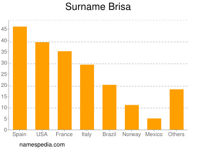 Surname Brisa