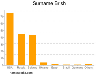 Surname Brish