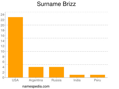 Surname Brizz