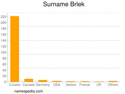 Surname Brlek