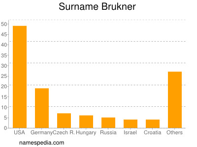 Surname Brukner