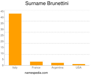 Surname Brunettini