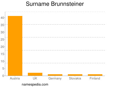 Surname Brunnsteiner