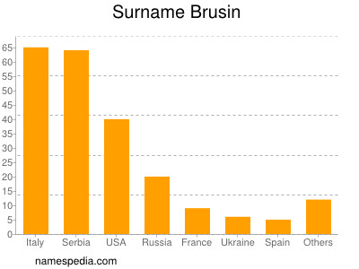 Surname Brusin