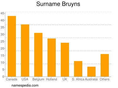 Surname Bruyns
