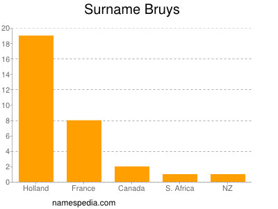 Surname Bruys